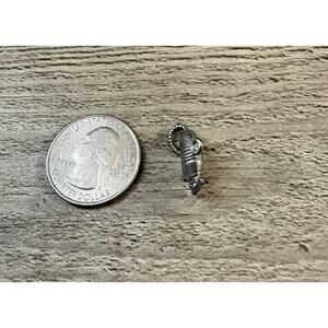 Vintage Silver Armadillo Charm
